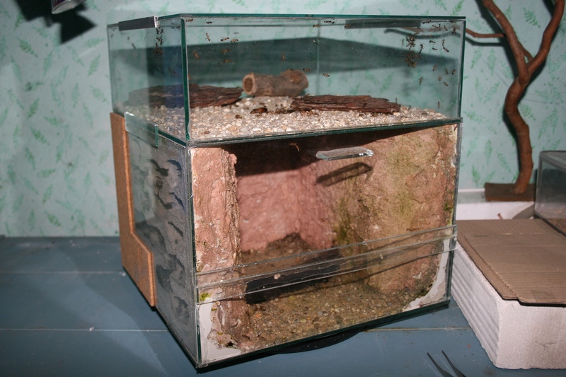 formikrium Ytongov