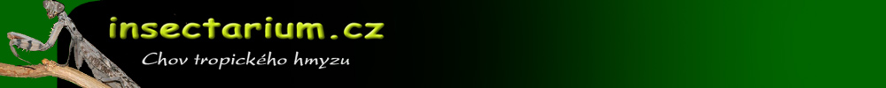 Insectarium.cz logo